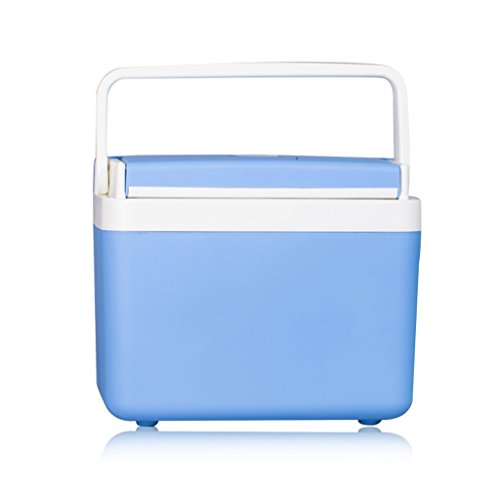 Car Refrigerator Jadeking@ 10L Small Cold And Warm Car Dual-use Carrying Refrigerated System 220V AC / 12V DC