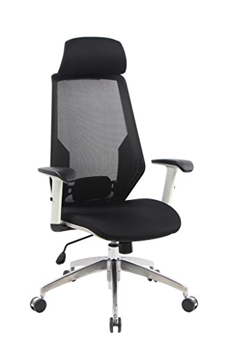 VIVA OFFICE High Back Mesh Office Chair with Adjustable Headrest, Lumber Pad and Arms