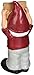 FOCO NCAA Slogan Sign Mini Gnome