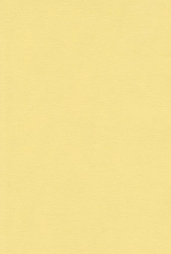 エスケント 色画用紙 四切 きいろ 100枚 210804