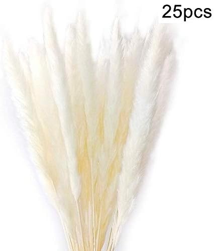 blackbirdlee Natural Dried Flowers, Natural Dried Pampas Grass Reed Home Wedding Decor Photography Props 25Pcs/Set White