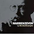 Warren Zevon Mr. Bad Example