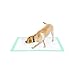 Dog Pee Pads for Dogs XXL 30