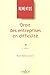 Droit des entreprises en difficulte (French Edition) by 