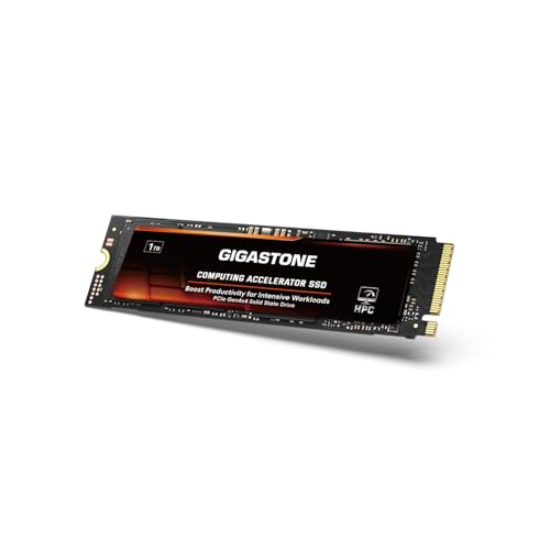 Gigastone HPC Computing M.2 SSD 1TB PCIe 4.0 NVMe SSD 5,000MB/s Host Memory Buffer Cache Accelerate Speed Coding Big Data Intensive Workloads, Internal Solid State Drive SLC Cache 3D NAND