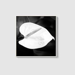 Framed Canvas Home Artwork Decoration Beautiful Flower Canvas Wall Art for Living Room, Bedroom - 16x16 inches