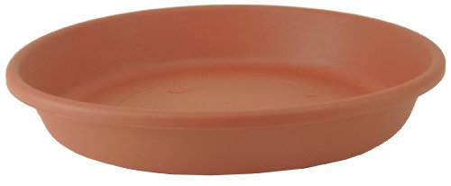 The HC Companies Round Classic Saucer, 14