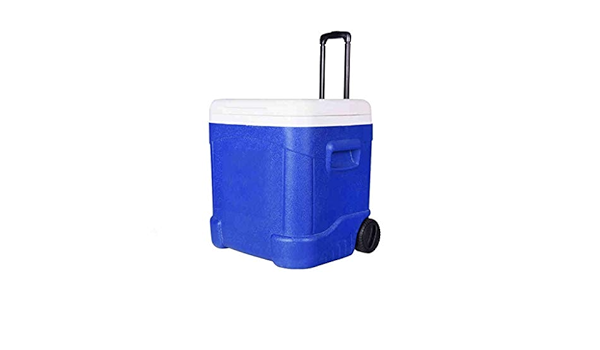 LIYANLCX Enfriador de Ruedas | Refrigerador Mantiene el Hielo ...