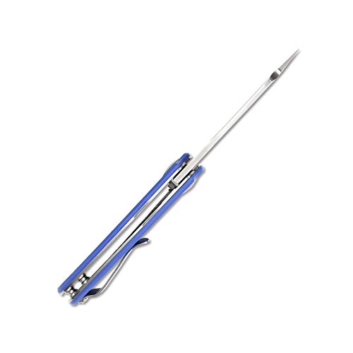 Kizer Knives Pocket Knife with Clip G10 Handles Material EDC Folding