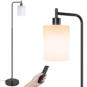 Industrial Floor Lamp,4 Color Tempratures Farmhouse Lamp with Remote & Foot Control, Rustic Standing Lamps with Hanging…
