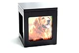 Heavenly Home Pet Keepsake Multiple Photo Cube Pet Urn for 1 to 4 Pictures Cremation Memorial for Pet Lovers Acrylic Glass Photo Protector Resting Place for Cat or Dog (15 Cubic Inches)