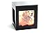 Heavenly Home Pet Keepsake Multiple Photo Cube Pet Urn for 1 to 4 Pictures Cremation Memorial for Pet Lovers Acrylic Glass Photo Protector Resting Place for Cat or Dog (15 Cubic Inches)