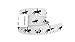 C4 Design Belt - Dressage Fill In White Strap with Black Chrome Buckle - Equestrian Horseback Riding Belt for Women