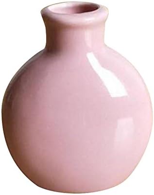 1xToruiwa Flower Vase Mini Ceramic Plant Flower Pot Dried Flower Plants Containers Balcony Garden Planter Home Office Decoration Ornaments Craft Gardening Accessories 6 * 4 * 7.5cm (Pink)