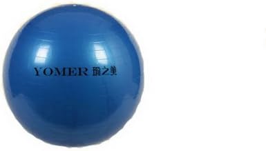 Amazon.com: Pelota pelota de ejercicio de yoga y Bomba ...
