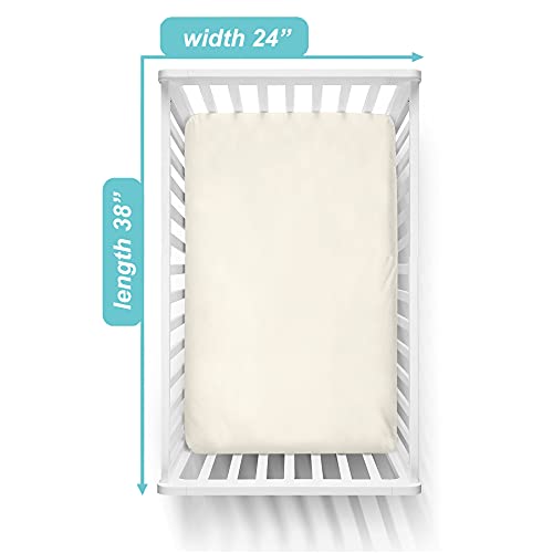 American Baby Company 100 Natural Cotton Jersey Knit Fitted Portable