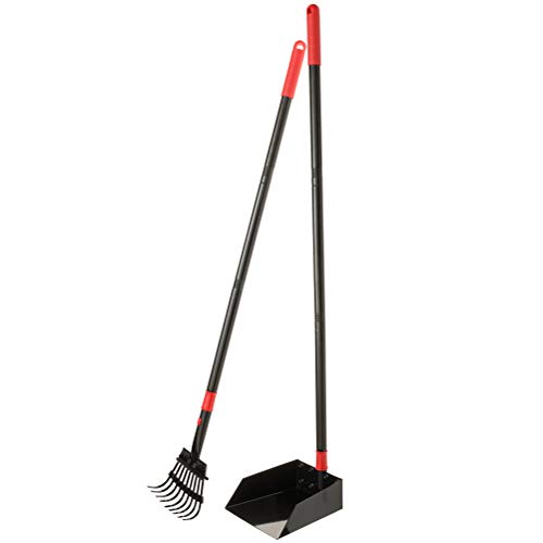How to buy the best dog poop rake only? Aalsum reviews