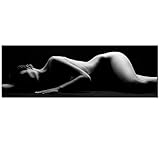 Sea Charm - Black and White Sexy Nude Woman Wall Art Modern Living Room Decoration Body Art Picture to Photo Canvas Print,Framed and Ready to Hang,16