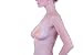 Mystiqueshapes  Women Reveal Cleavage Galore Silicone Nu Bra Cups Breast Enhancers (C, Nude)