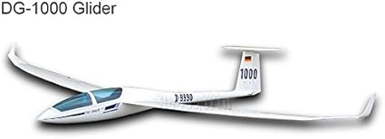 dg 1000 rc glider