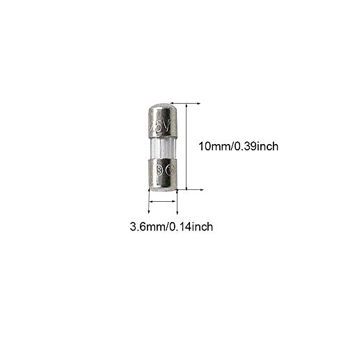 1 SIXQJZML+Fast+Blow+Glass+Fuses+125Volt