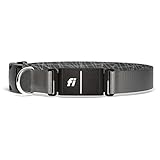 Fi Series 3 Smart Dog Collar - GPS Dog Tracker and