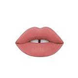 Silvercell Long Lasting Waterproof Lip Liquid Pencil Matte Lipstick Lip Gloss