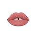 Silvercell Long Lasting Waterproof Lip Liquid Pencil Matte Lipstick Lip Gloss
