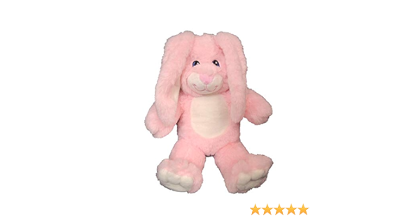 bearegards comfort bears