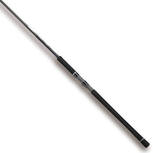 テイルウォーク(tailwalk) SSD Shore jig 100XH 16910の商品画像