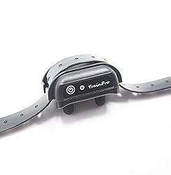 TrainPro 27 ½” X ¾” Replacement Dog Collar