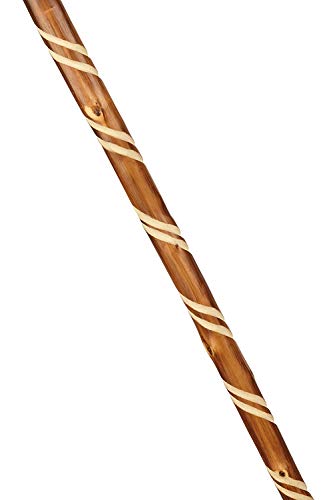 Stock-Fachmann Wandelstok, gevlamd, gedraaid met hoorn en lus, echt houten stok, pilgerstok, van kastanjehout, lengte… - Image 4