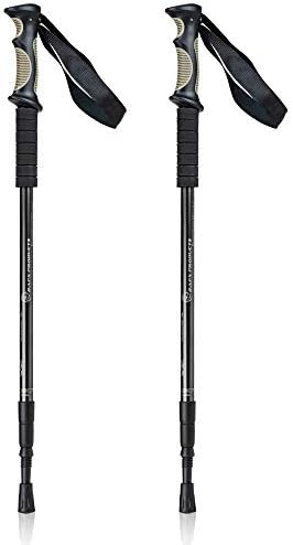 big 5 hiking sticks