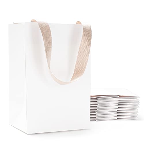 White Gift Bags with Handles, YACEYACE 10Pcs Small White  Paper Gift Bags with Handles Bulk, Whi