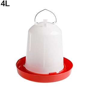 ypypiaol, mangiatoia per pollame, Anatre, Uccelli, pollame, Galline, quaglie, Bantam, Cibo, Acqua, Fattoria, Animali