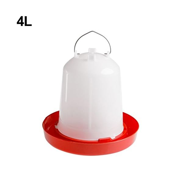 ypypiaol, mangiatoia per pollame, Anatre, Uccelli, pollame, Galline, quaglie, Bantam, Cibo, Acqua, Fattoria, Animali