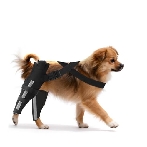Double Dog Knee Brace for ACL Tear Hind Leg Metal‑Spring for Med‑Large Dog at Amazon
