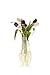 MODGY Expandable Flower Vase Plastic Decorative Modern Vases for Flowers Centerpieces Dining Table Decor Living Room Bathroom Wedding Office, Lila Ivory MyVaz