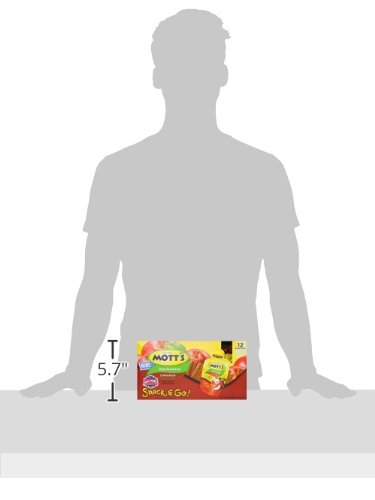 MOTT’S SNACK AND GO APPLESAUCE POUCHES, CINNAMON, 3.2 OUNCE (BOX OF 12 POUCHES)