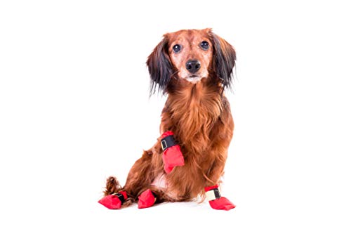 Non-stop dogwear Paw Protectors Dog Booties for Sledding, Long Distance Sock for Mushing, Hiking, Injuries, First Aid, Clean Paws, Clean Carpet & More (12-Pack Medium)
