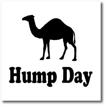 Amazon Com 3drose Ht 159637 1 Hump Day Camel Wednesday Iron On Heat Transfer Paper For White Material 8 By 8 Inch