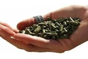 Alfalfa Green 1 kg