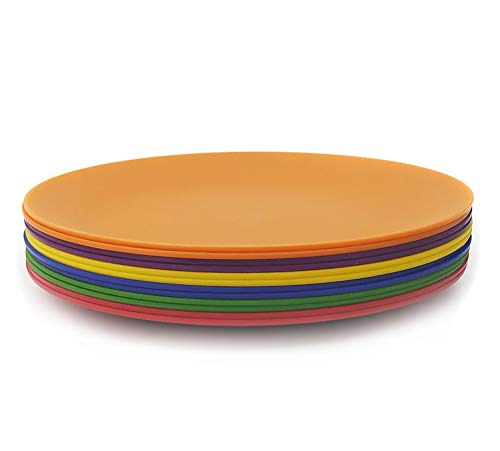Plastic Plates Set of 12 - Unbreakable and Reusable 9.875 inches Dinner Plates, Multicolor | Dishwasher Safe, BPA Free
