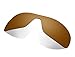 Littlebird4 Replacement Sunglasses Lenses Compatible with Oakley Antix, Polarized with UV Protection-Brown