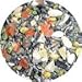 Exotic Island Pets Deluxe Squirrel Food 1 lbs Bag