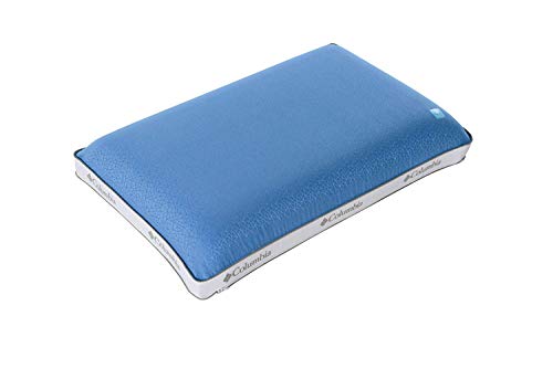 inflatable backrest wedge