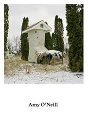 Amy O'Neill, suburban imagination