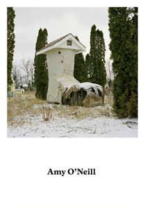 Amy O'Neill, suburban imagination