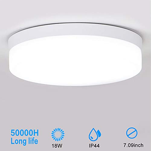 Amazon Com Dllt Led Flush Mount Bathroom Ceiling Light Fixture