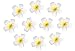 10pcs Hawaiian Artificial Plumeria Foam Flower Hair Clip for Wedding Party Headdress Home Decoration White Yellow